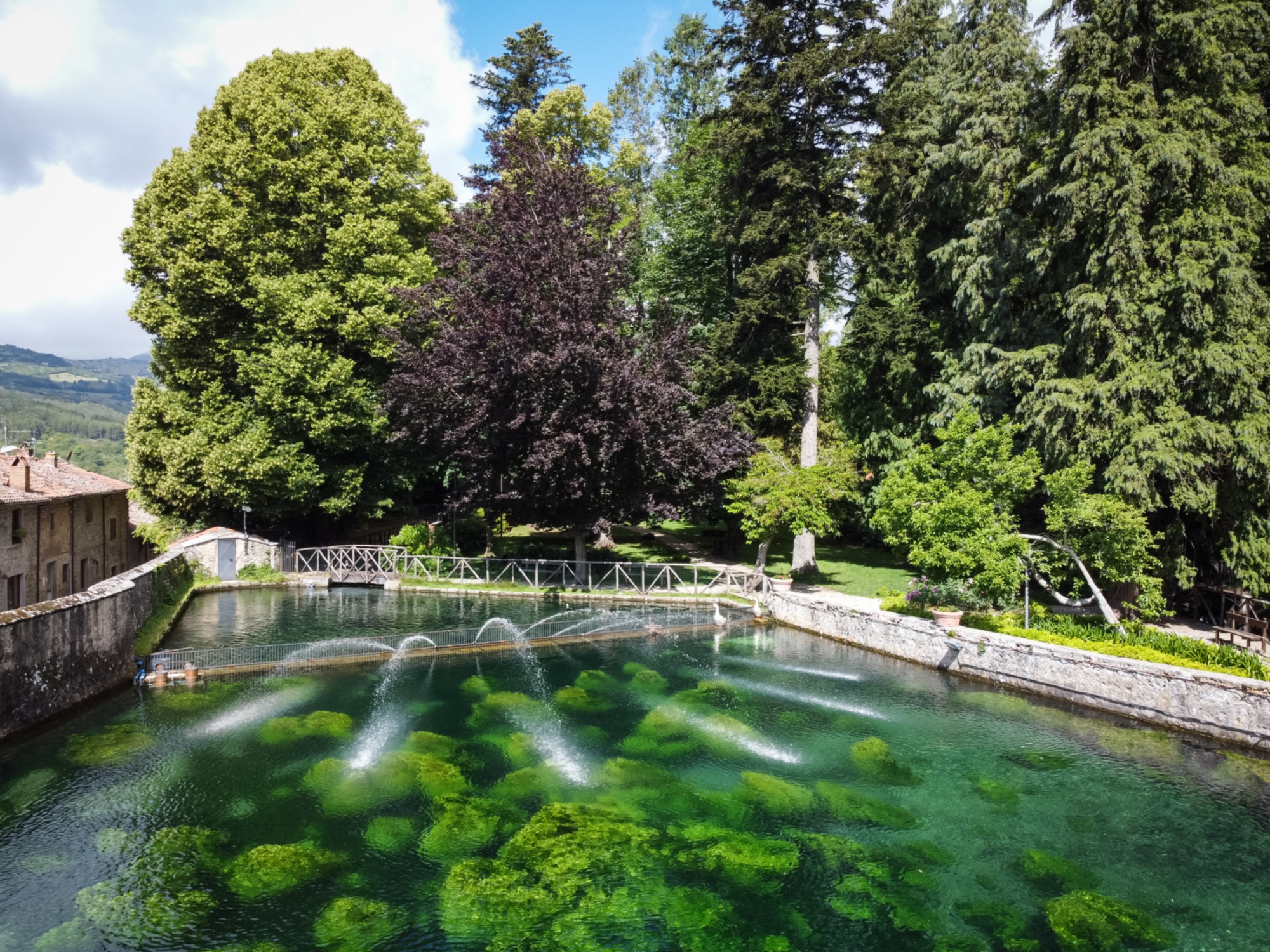 Peschiera di Santa Fiora, Amiata
