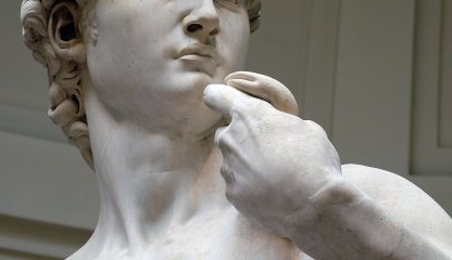 Visita guidata della Galleria dell'Accademia di Firenze