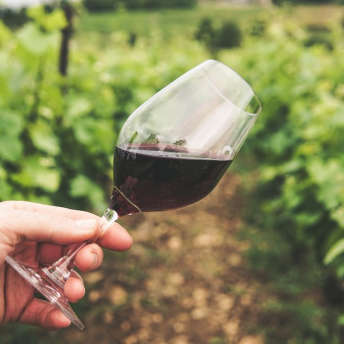 An unusual tasting experience to discover Tuscan wine traditions in Chianti An unusual tasting experience to discover Tuscan wine traditions in Chianti