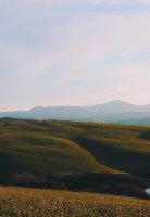 Un tour fra natura, sapori e set cinematografici della Val d'Orcia
