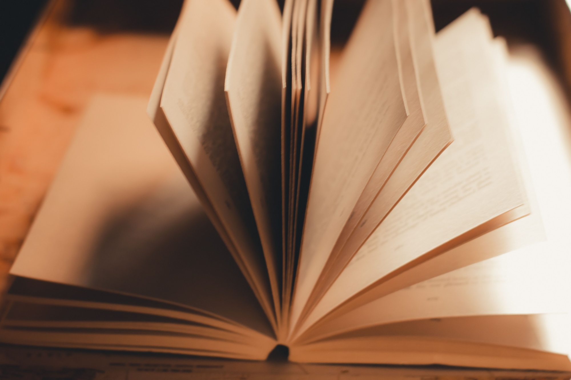 Pagine di un libro aperto