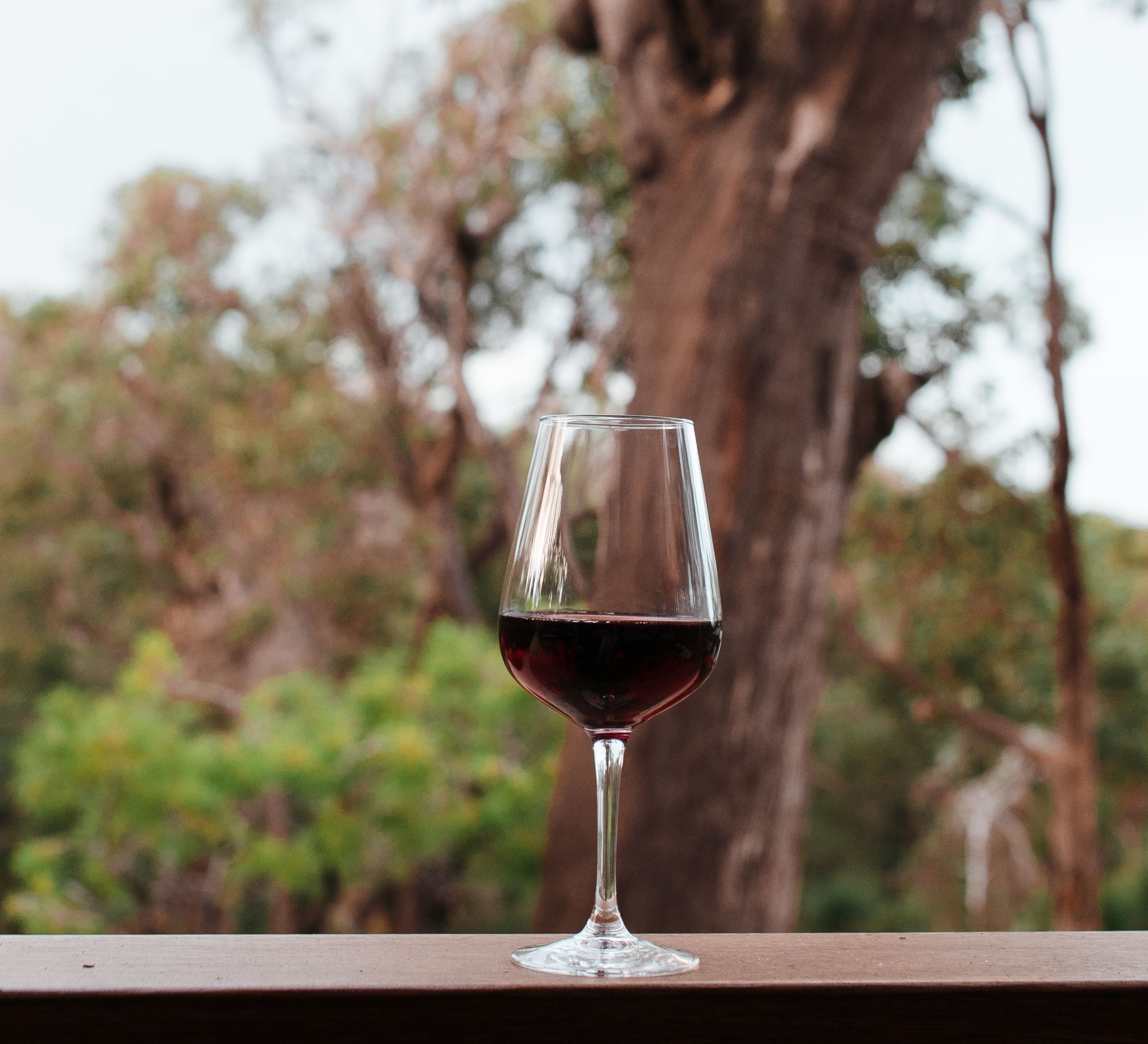 Un calice di vino rosso nella natura, con un albero sullo sfondo
