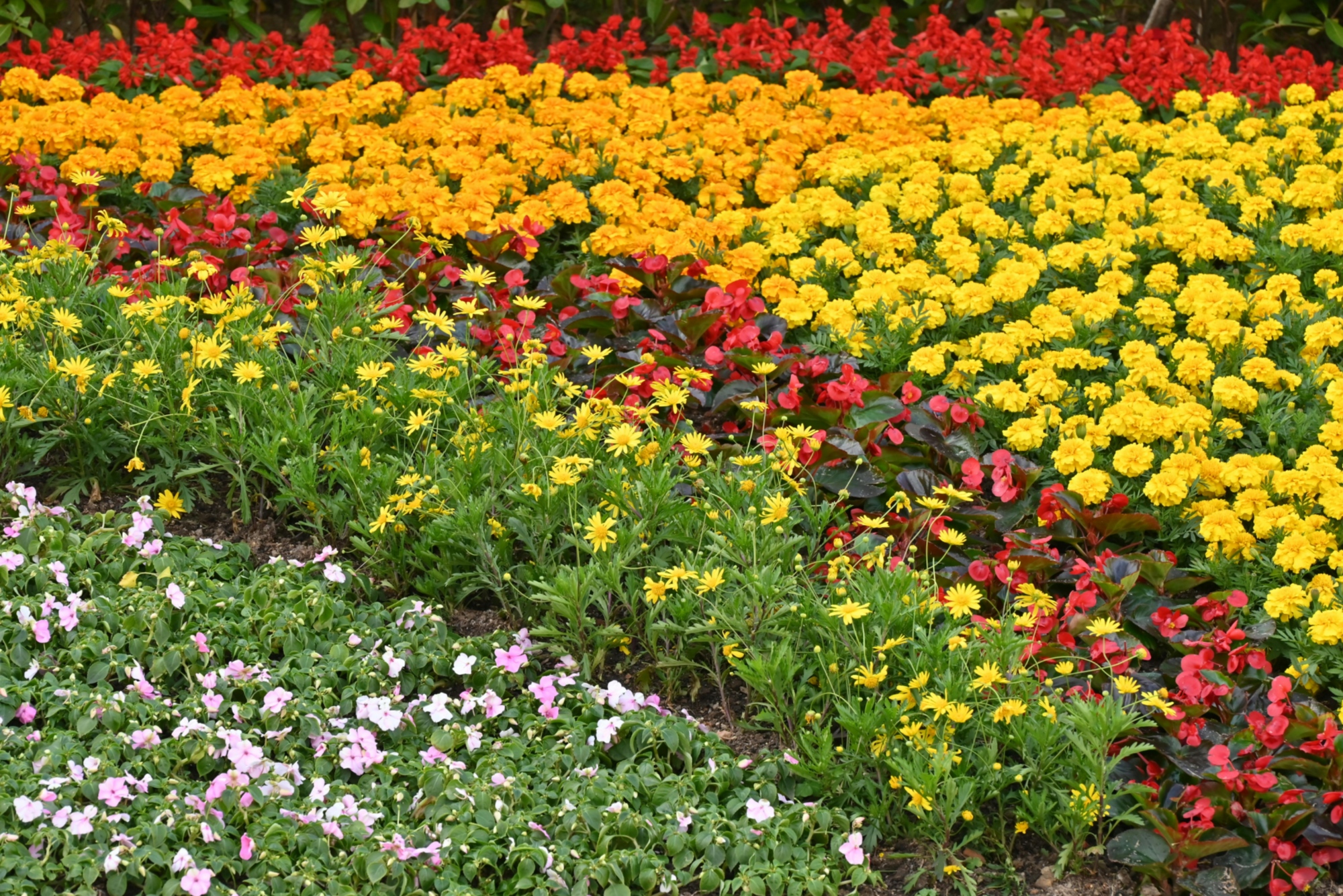 A fresh flower stand