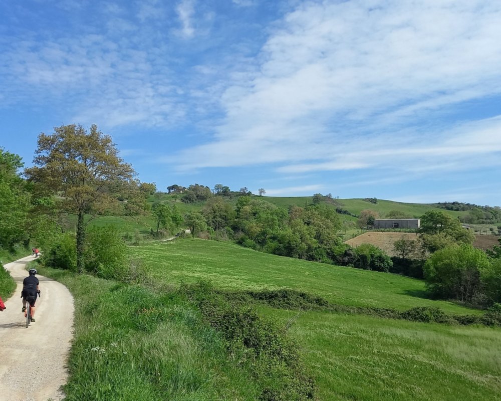 Carretera de tierra cerca de Montepò