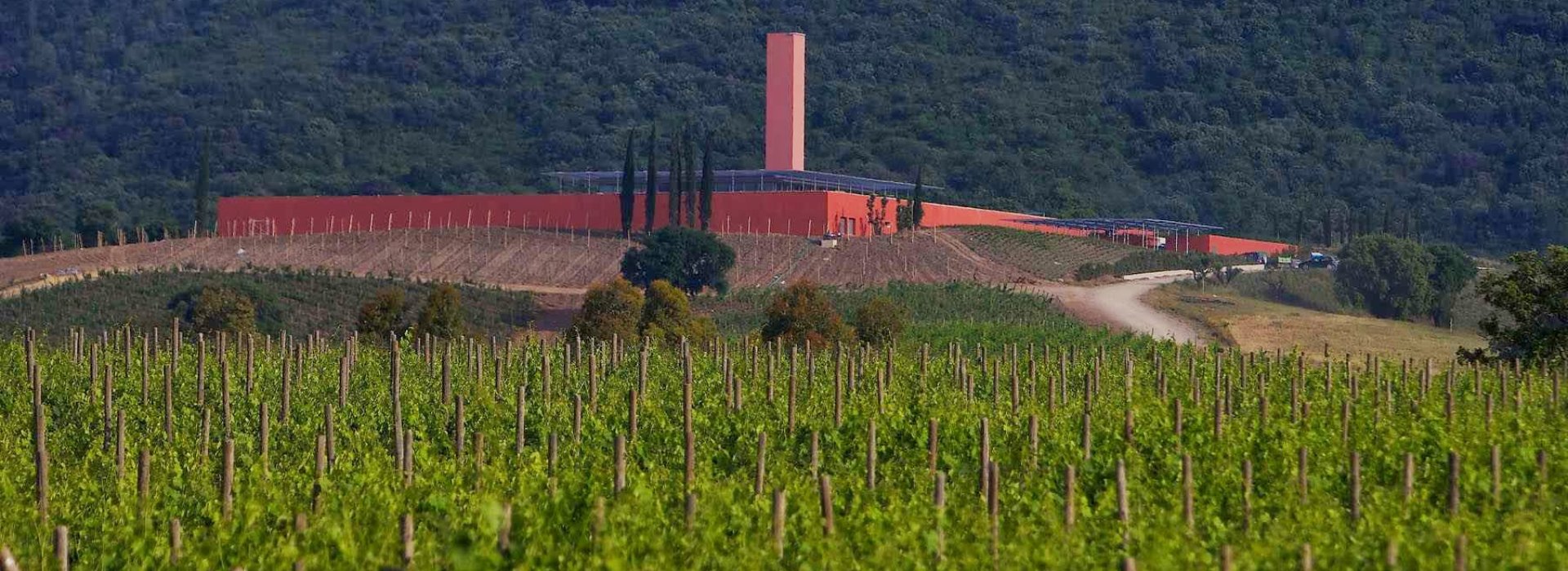 photo-frassinello.jpg