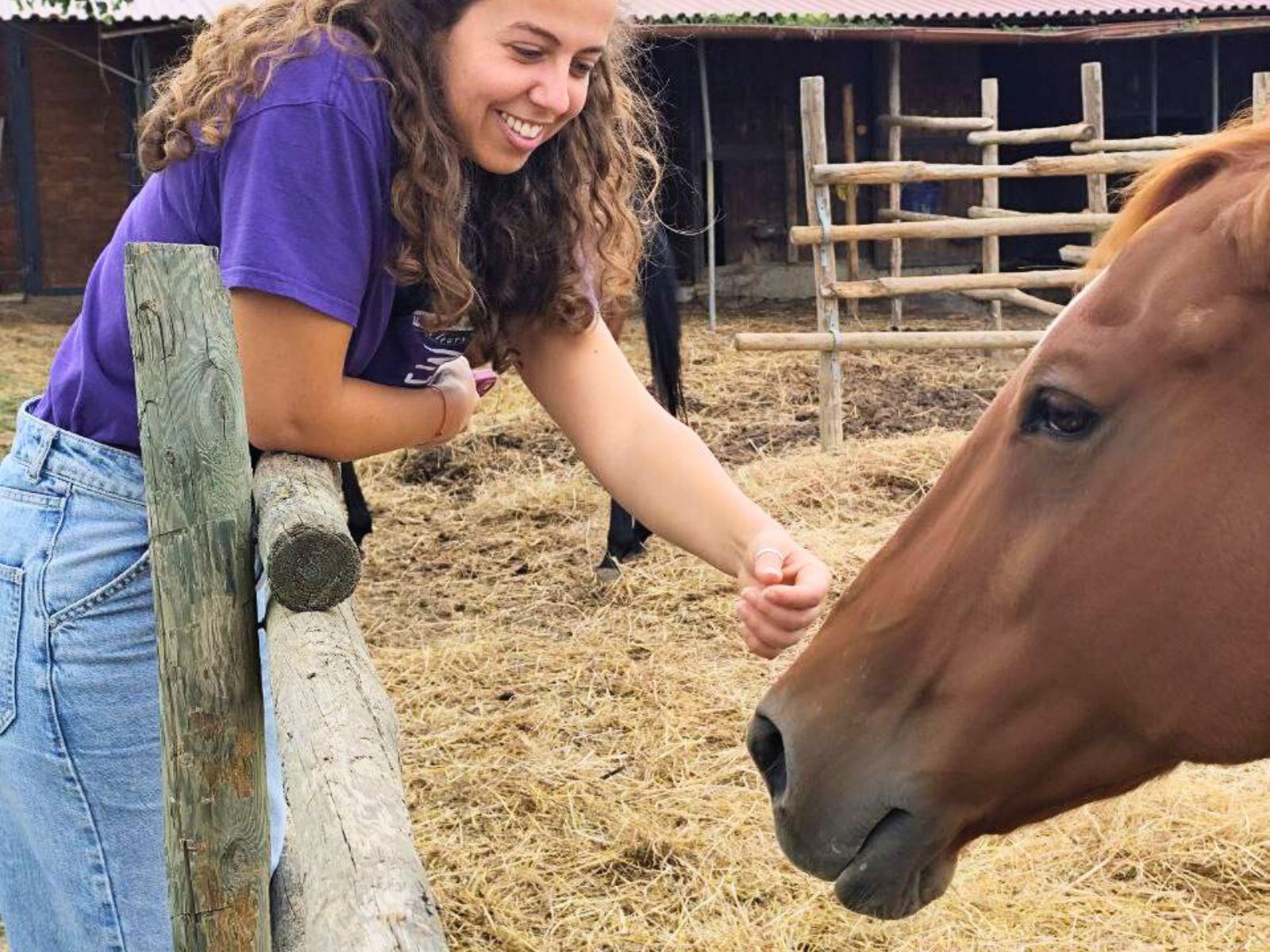 Visit of the farm with animals and horses