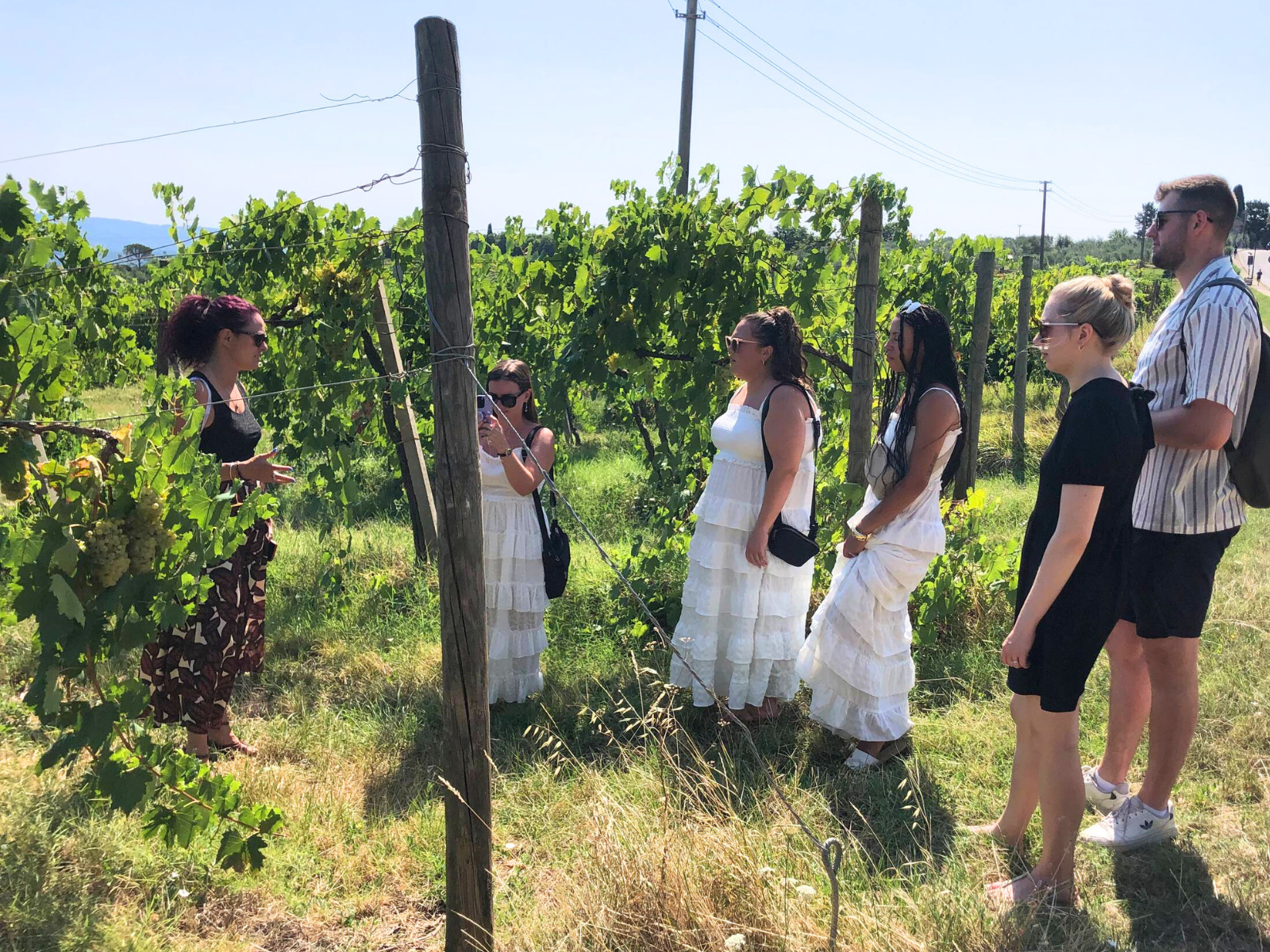 Vineyard visit and property visit