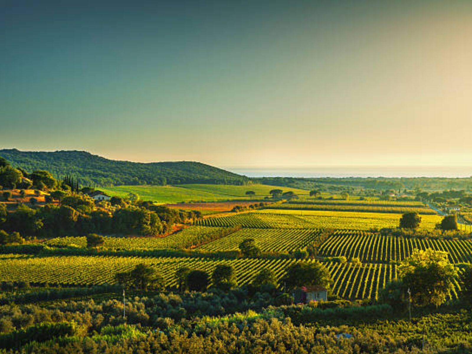 Views of rolling hills of Tuscany