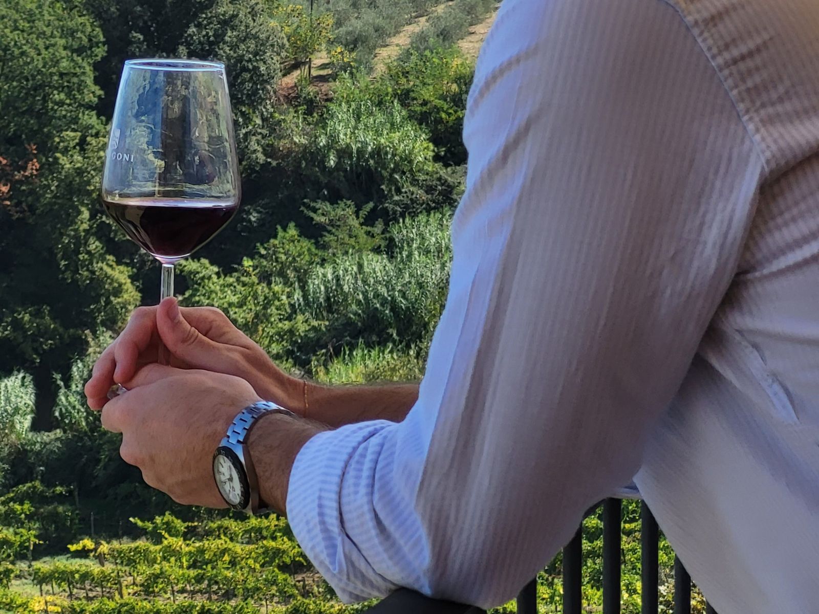 Premium Wine Tasting