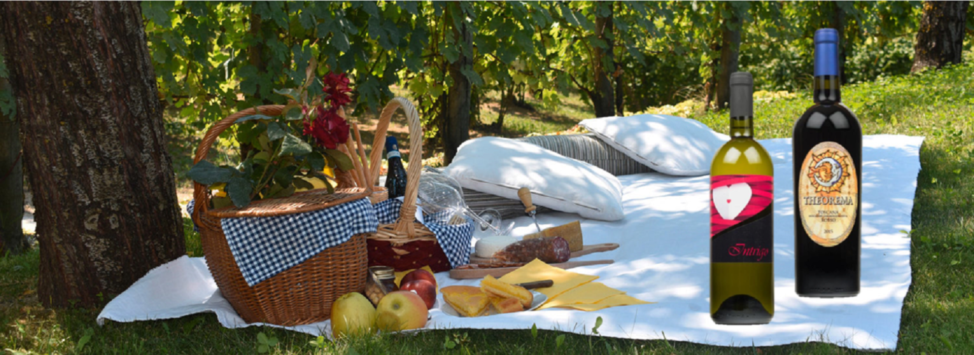 Picnic nella natura Picnic nella natura