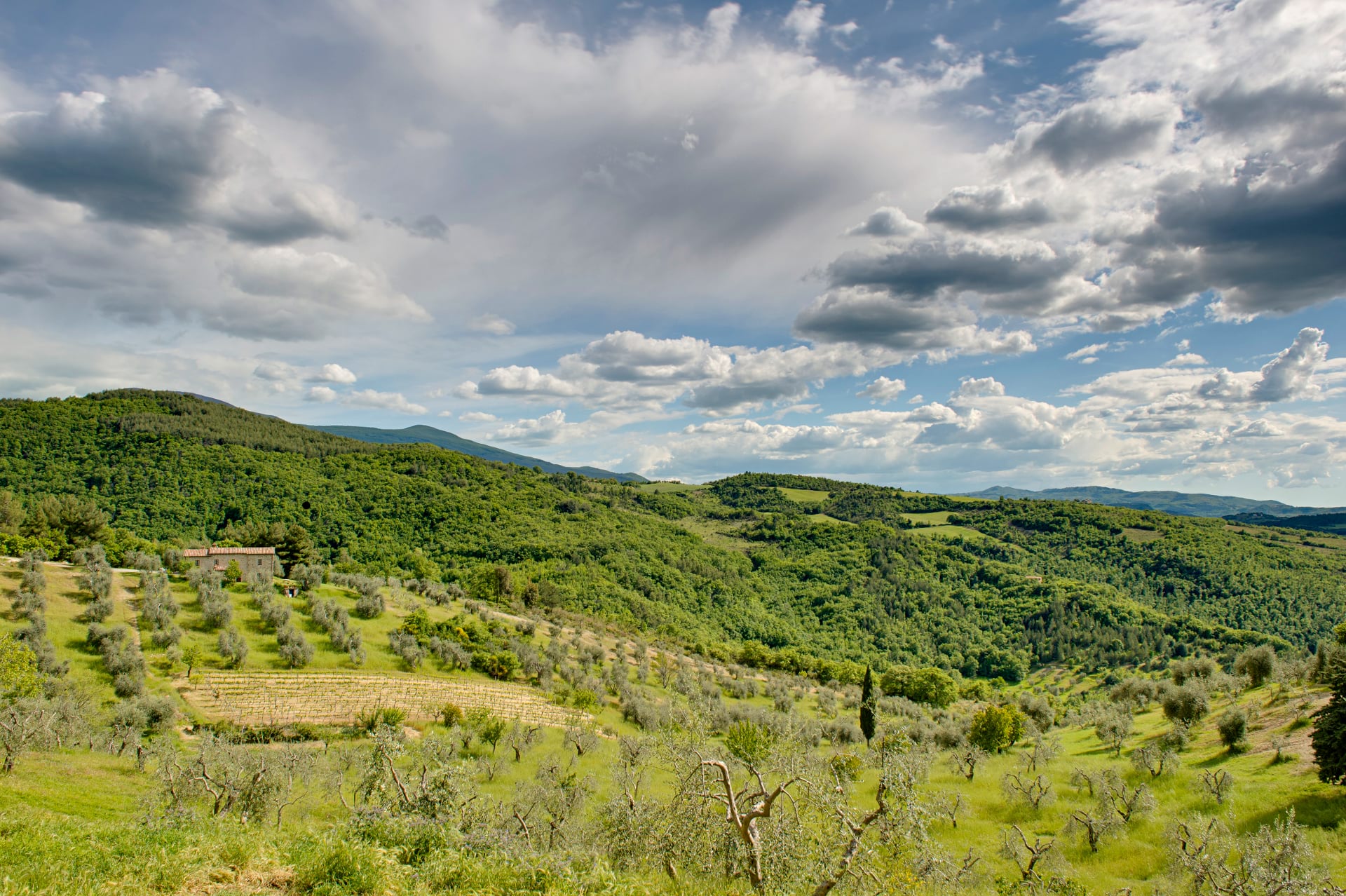 Due giorni di relax in Val d'Orcia al podere Bindozzino
