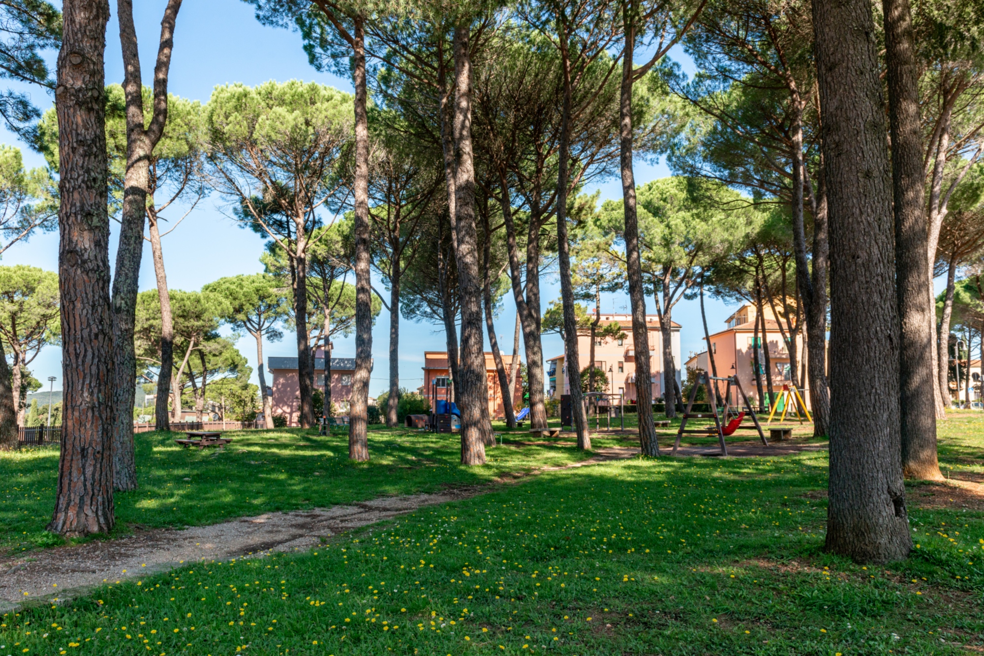 Une image du parc de Poggio