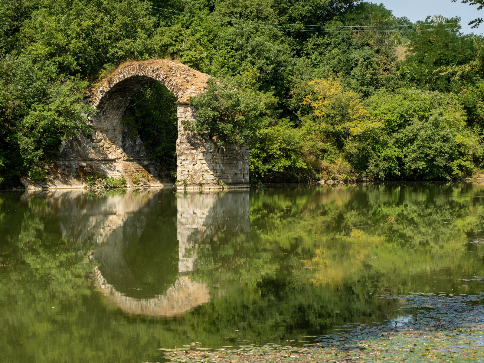 The remains of the Ponte Romito bridge in Valdarno, surrounded by thick vegetation