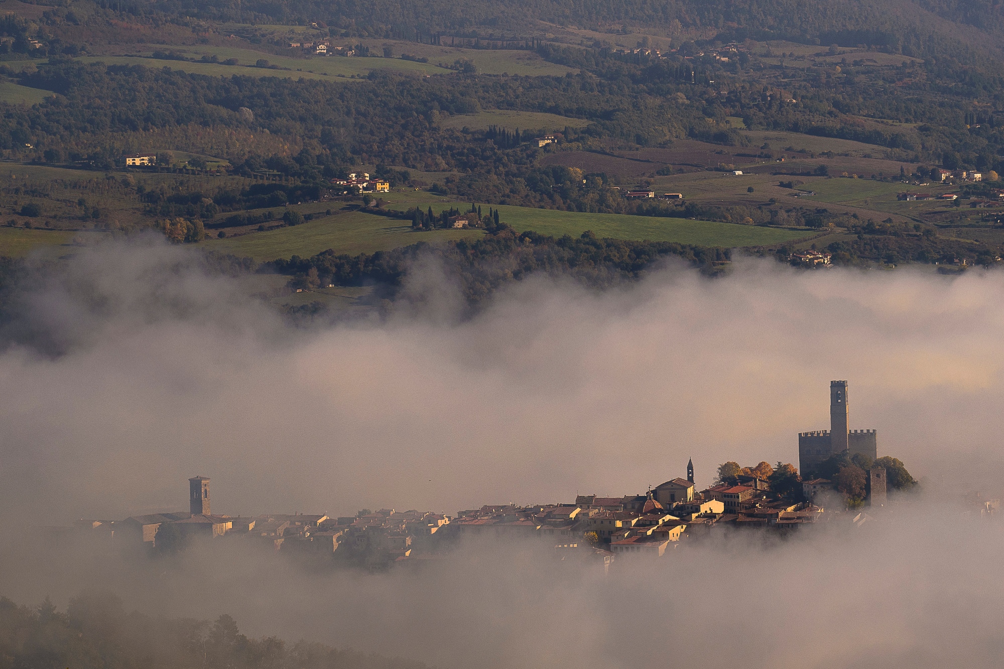 Poppi adagiato sulle nuvole