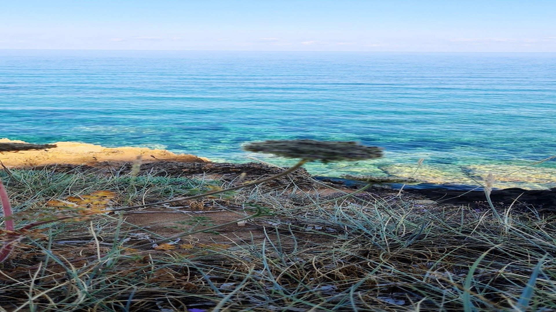 La Via dei Cavalleggeri