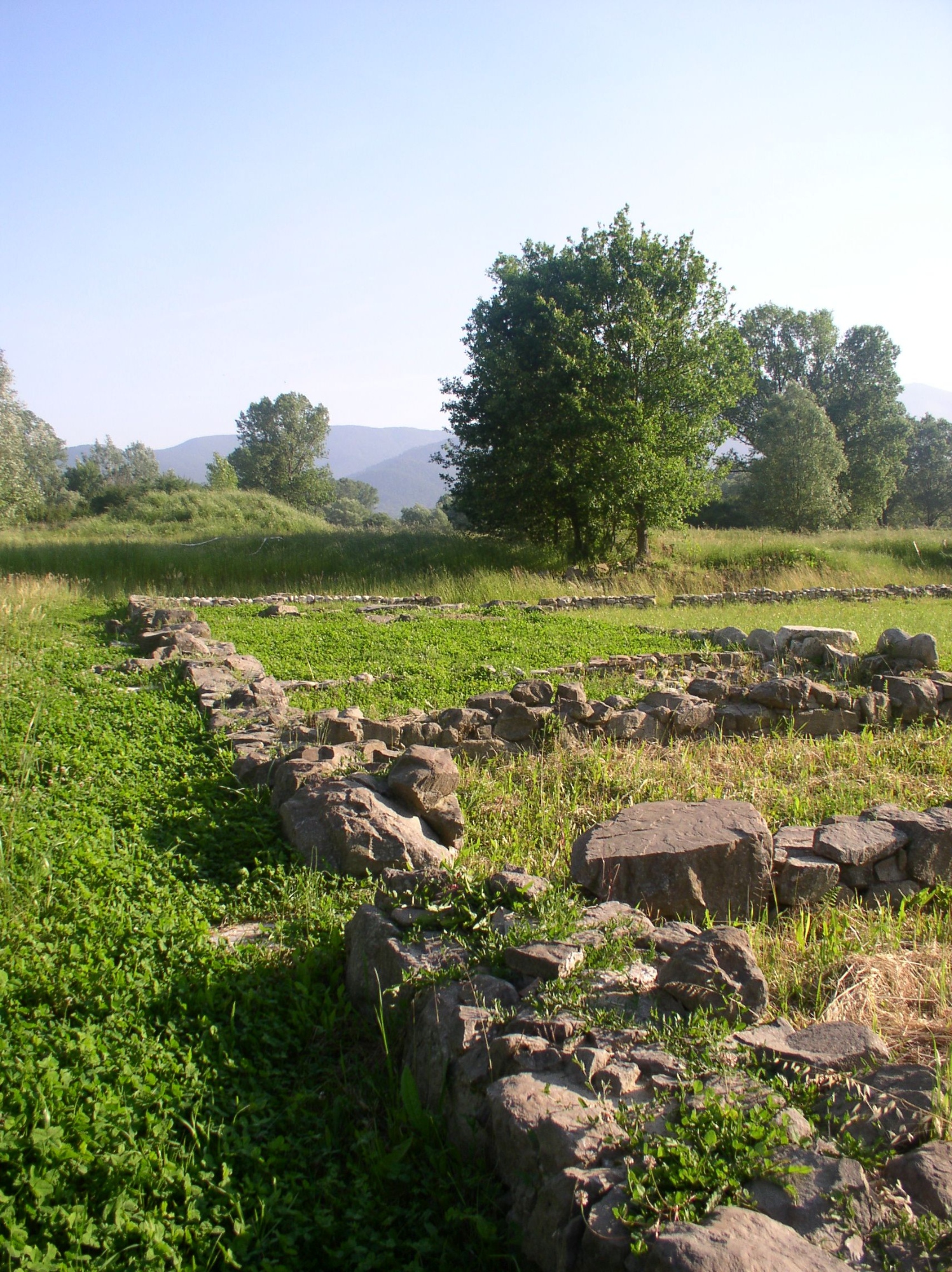 Area Archeologica di Fossa Nera