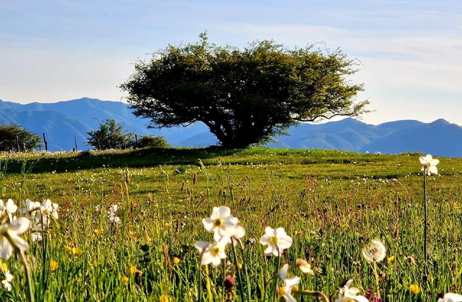 Prairies de Logarghena