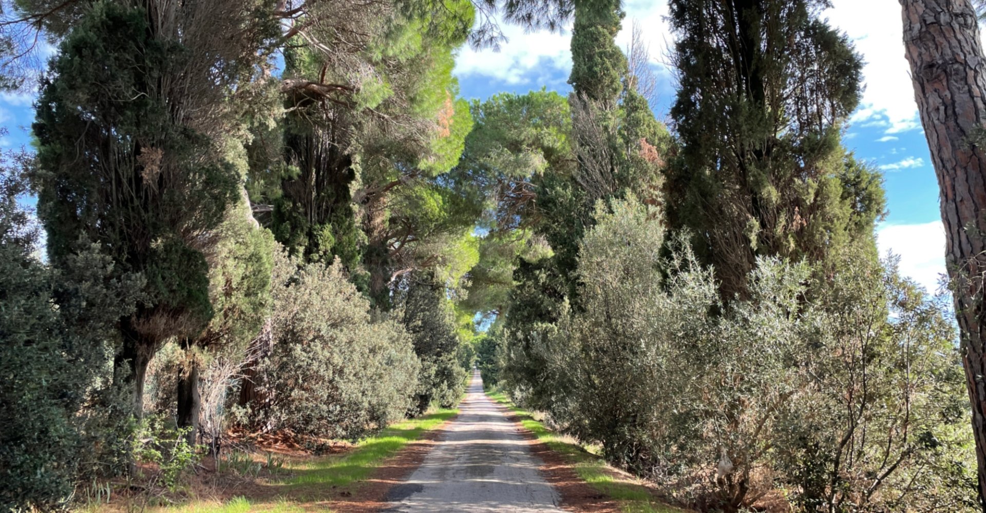 Grand tour de la Toscane à vélo