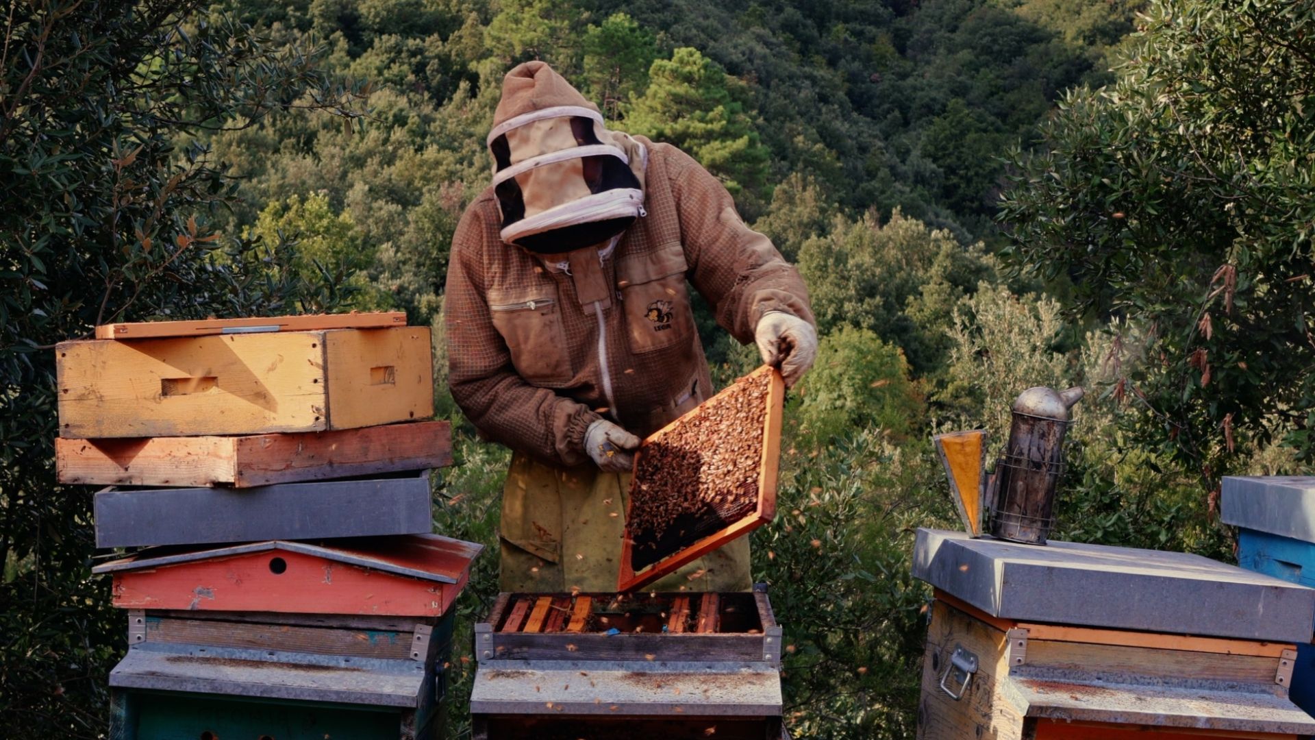 Visita guidata alla Mieleria Collettiva di Toscana Miele in Lunigiana