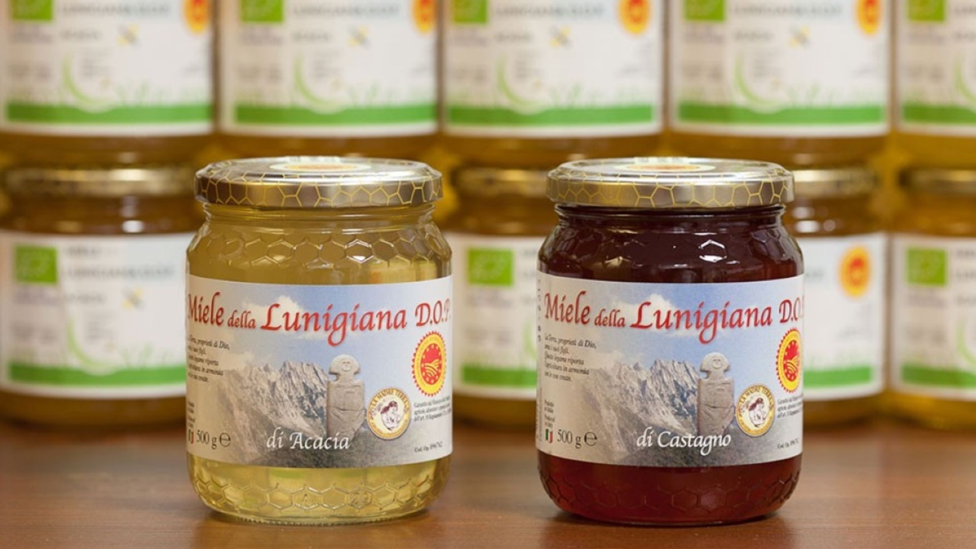 Visita guidata alla Mieleria Collettiva di Toscana Miele in Lunigiana