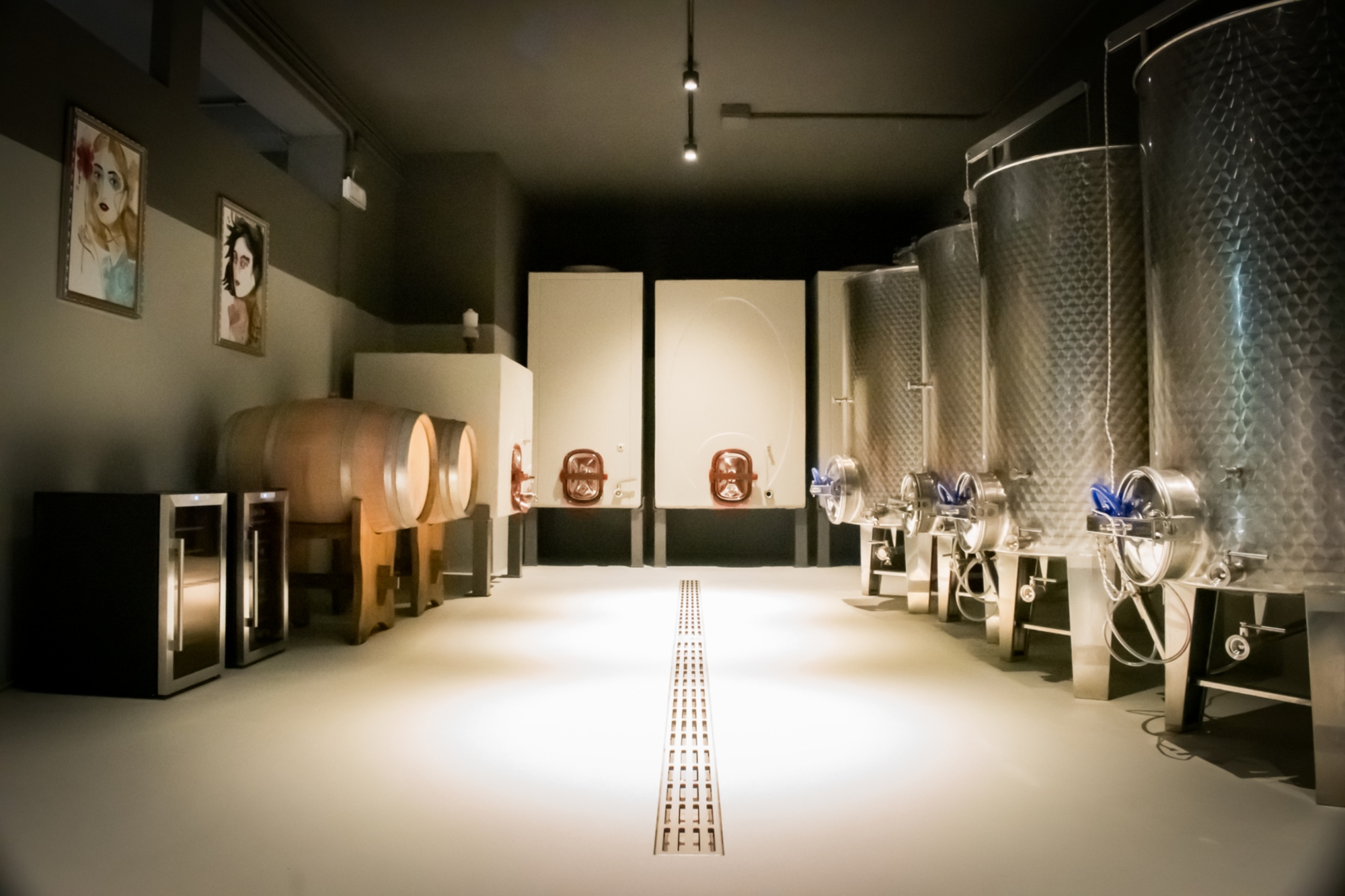 Dal vino all'esperienza: un viaggio sensoriale in una cantina a Montecarlo