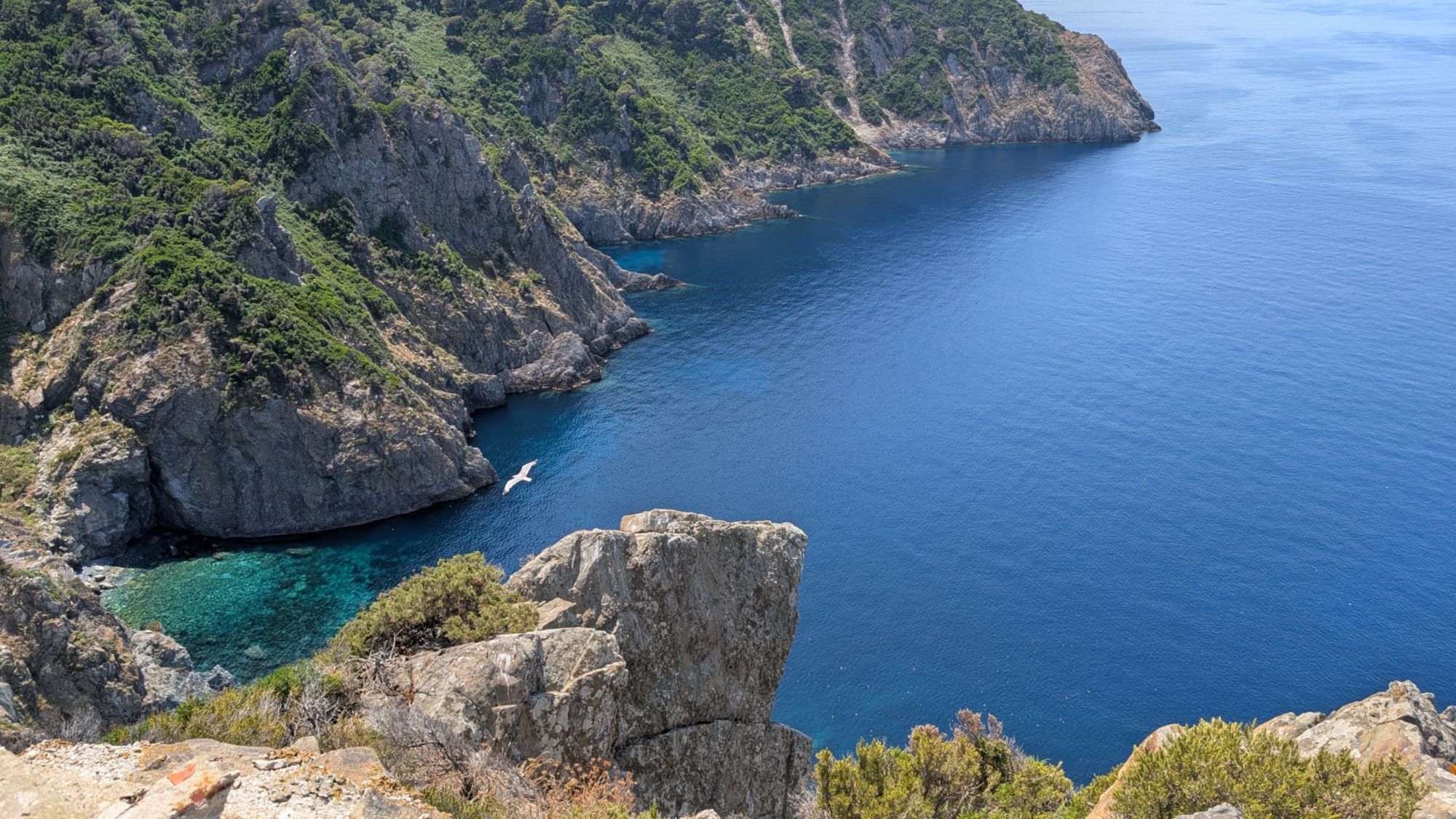 Tour dell'isola di Gorgona