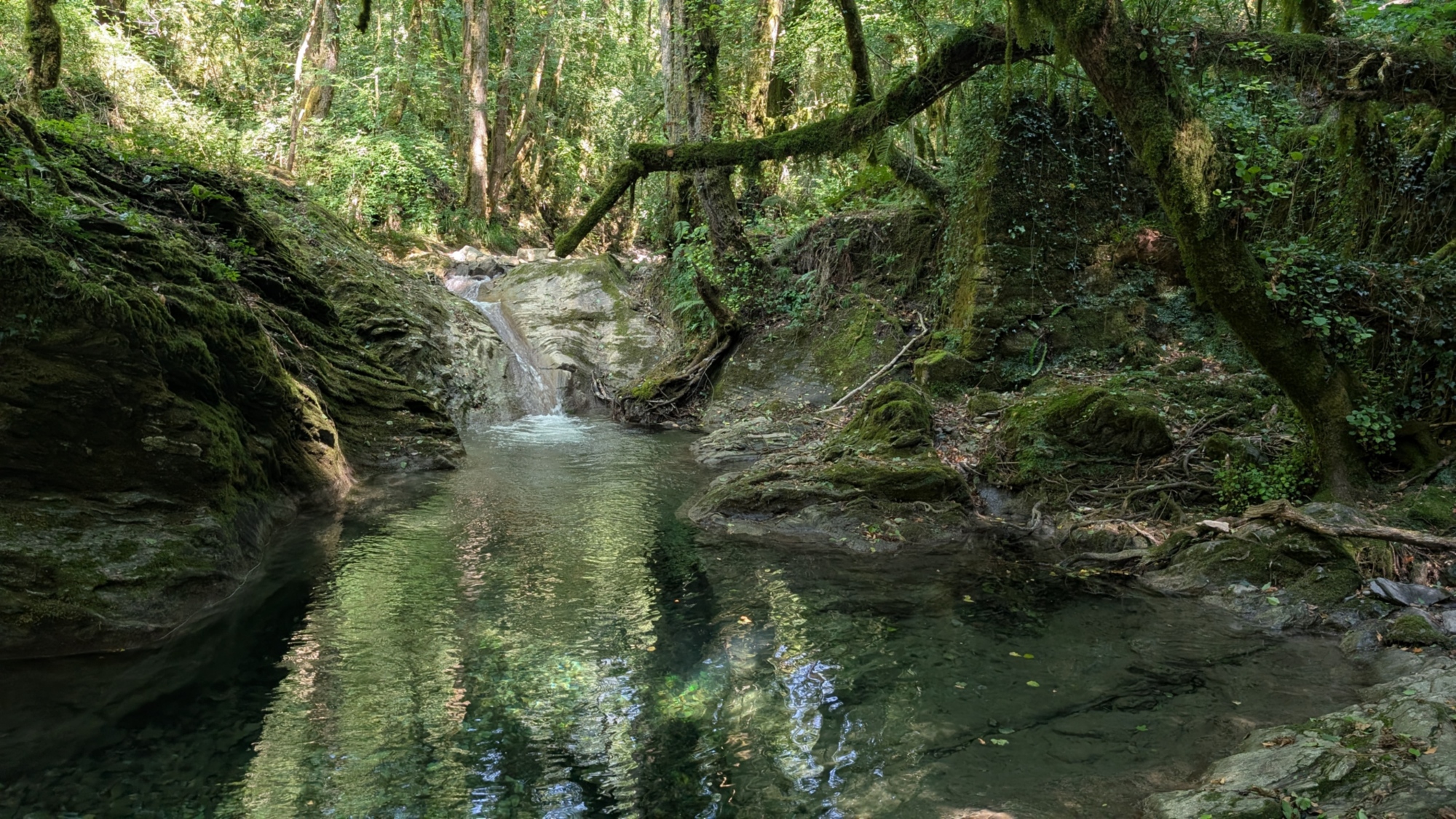 Limpida pozza d'acqua naturale dalle sfumature azzurre e verdi, circondata da rocce ricoperte di muschio e una folta vegetazione di alberi e rami nei boschi vicini a Bagnone, in Lunigiana