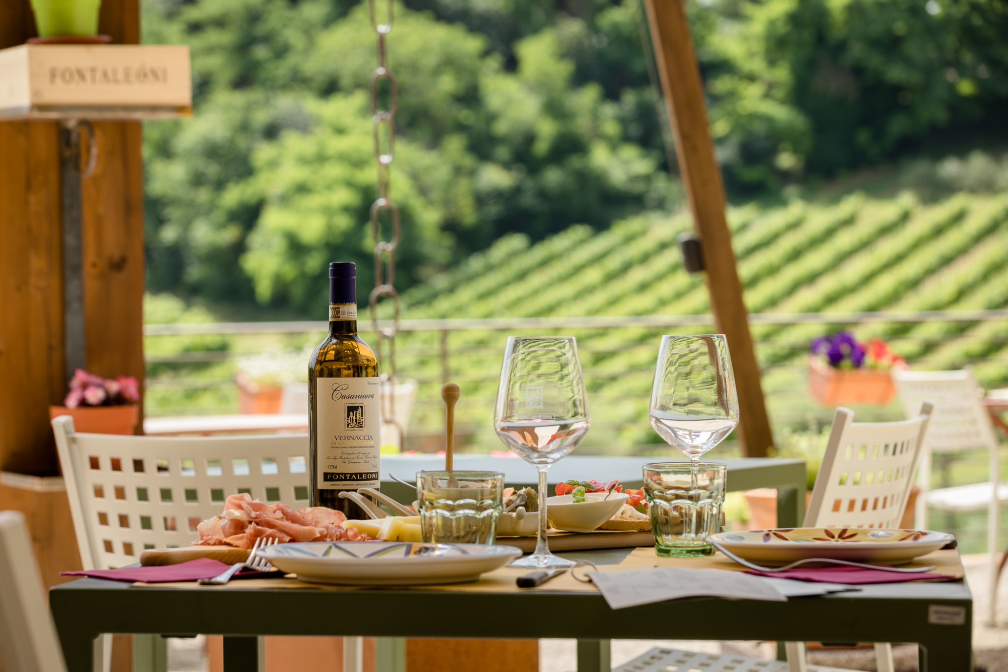 San Gimignano: guided winery tour and lunch with wine tasting
