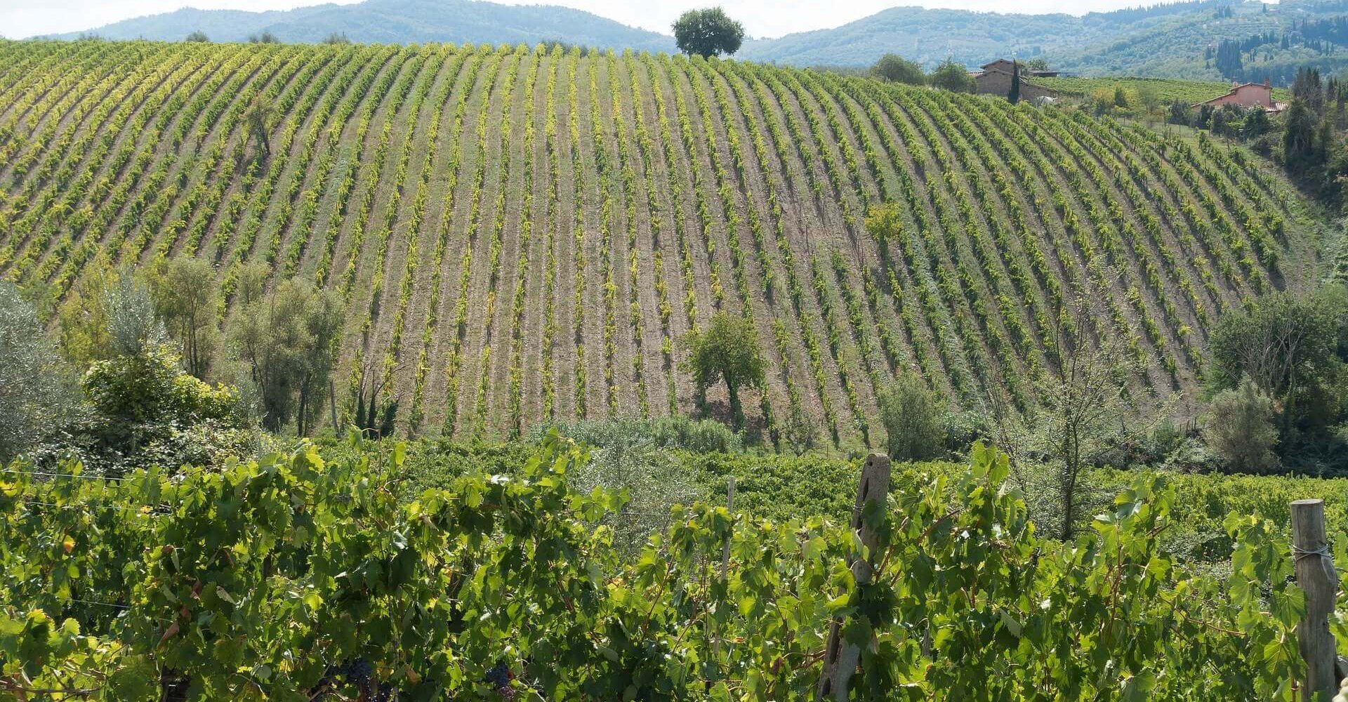 Ambito Chianti