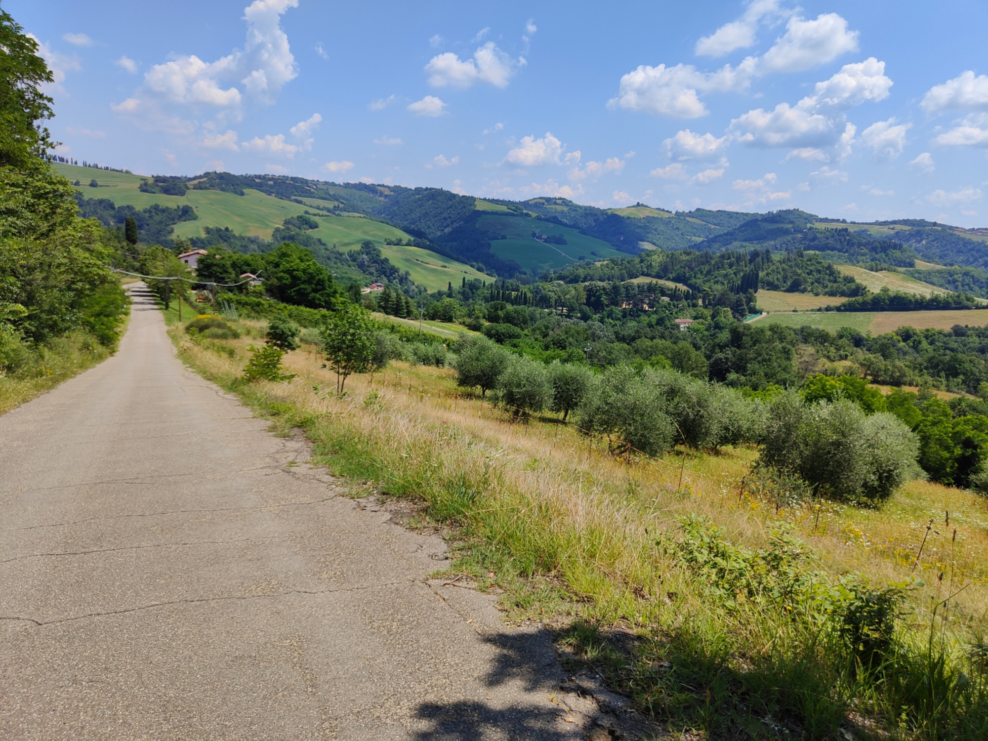 Una excursión de 7 días cruzando los Apeninos hasta Florencia