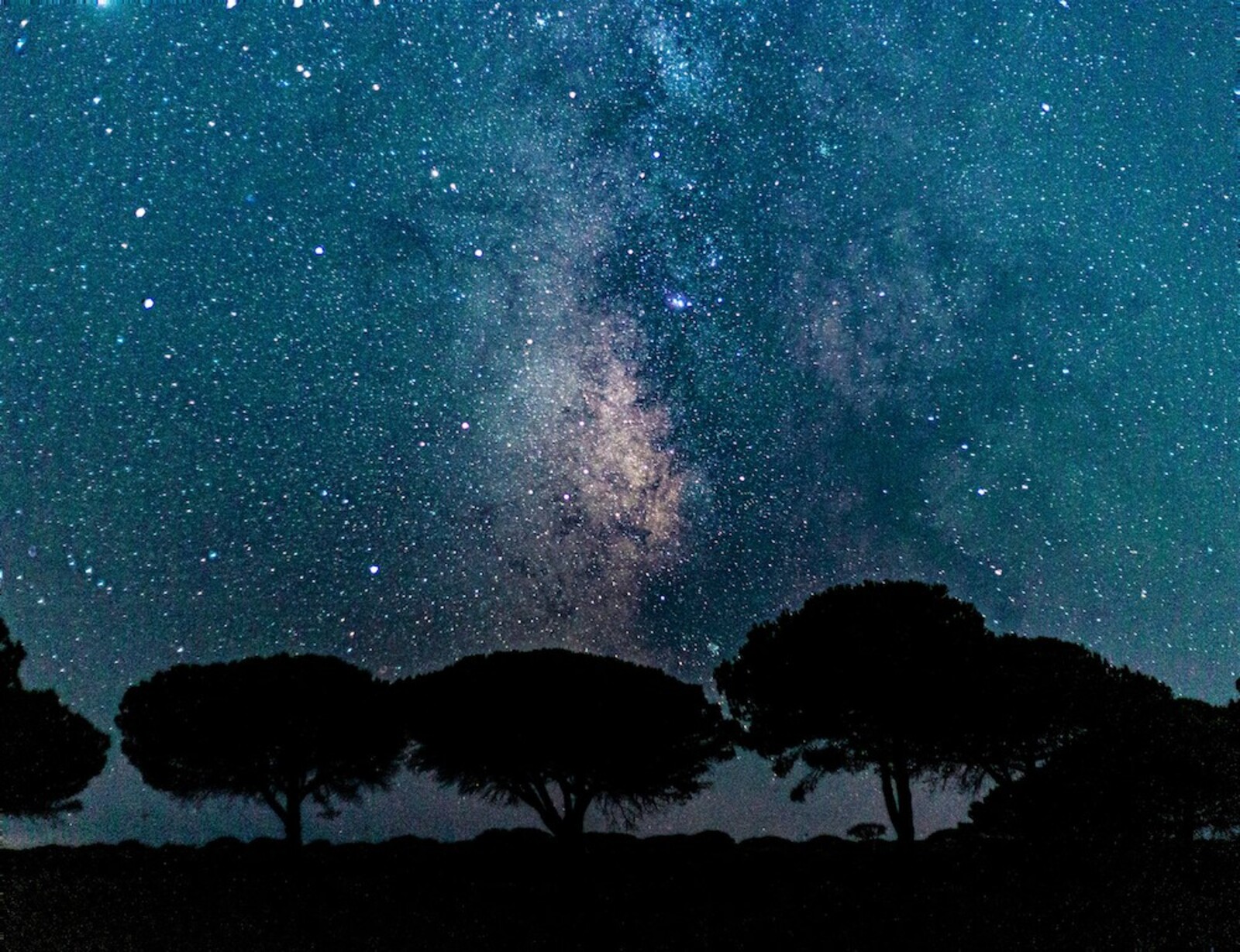 Notte stellata in Maremma