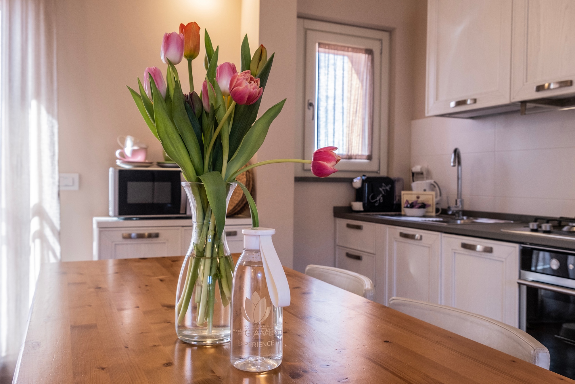 Offerta business di Agave in Città nel centro di Livorno, il giusto equilibrio tra lavoro, comfort e relax