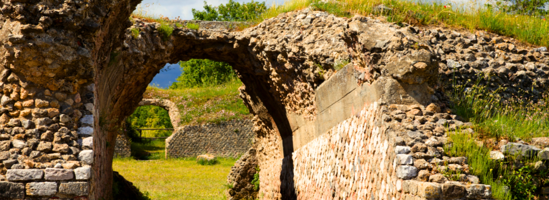 Visita guidata gratuita alla città etrusco-romana di Roselle Visita guidata gratuita alla città etrusco-romana di Roselle