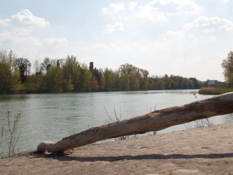 The river Arno - Credit: @Comune di Firenze The river Arno
