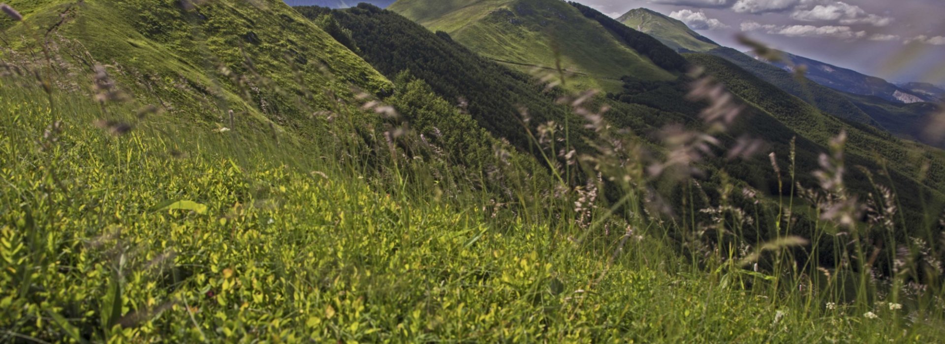 A tour loop on San Pellegrino in Alpe. Hiking in Tuscany