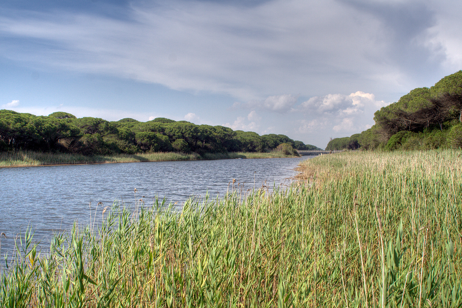 Canal of San Leopoldo