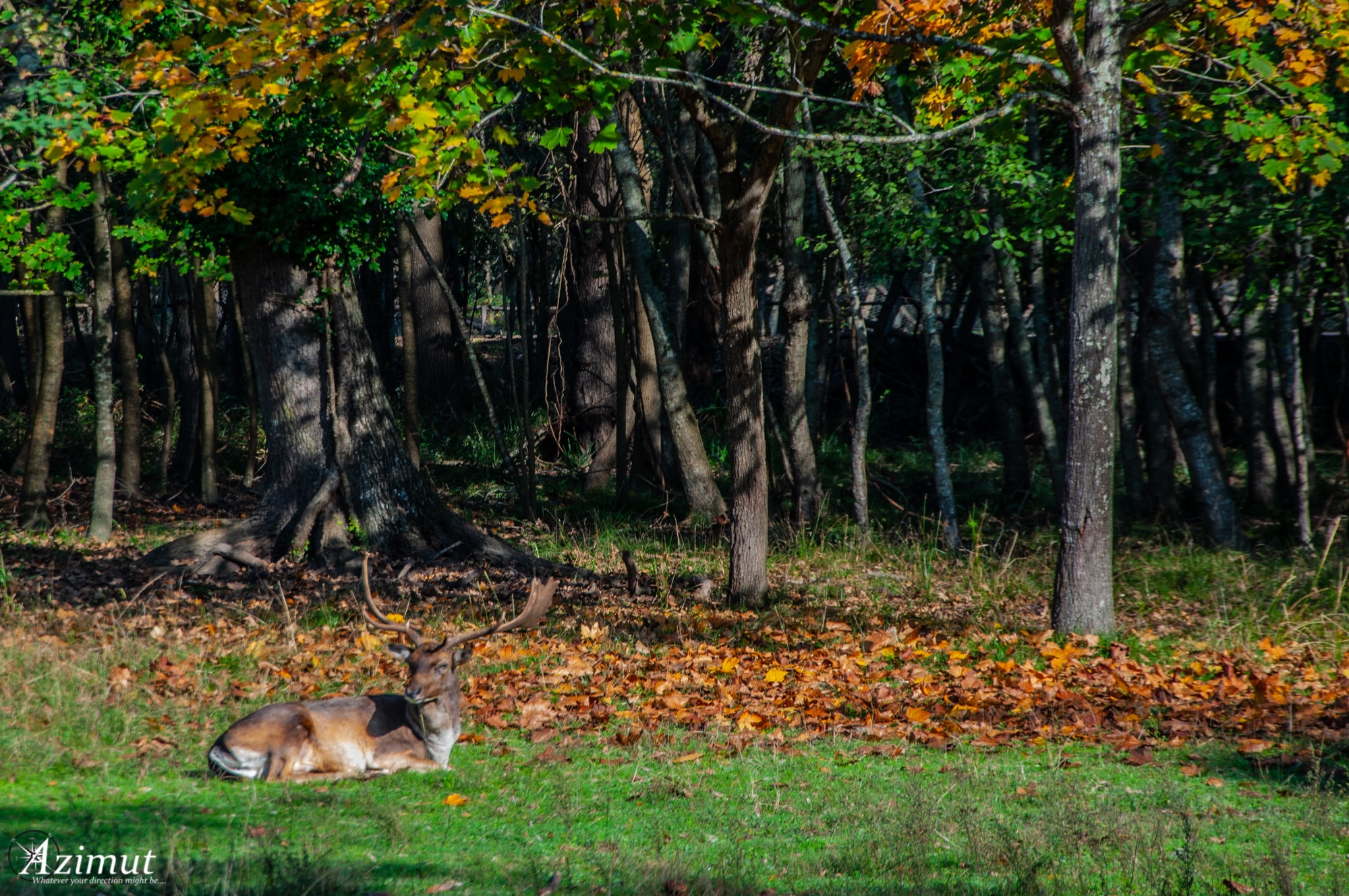 Trekking nella tenuta di San Rossore fino al mare