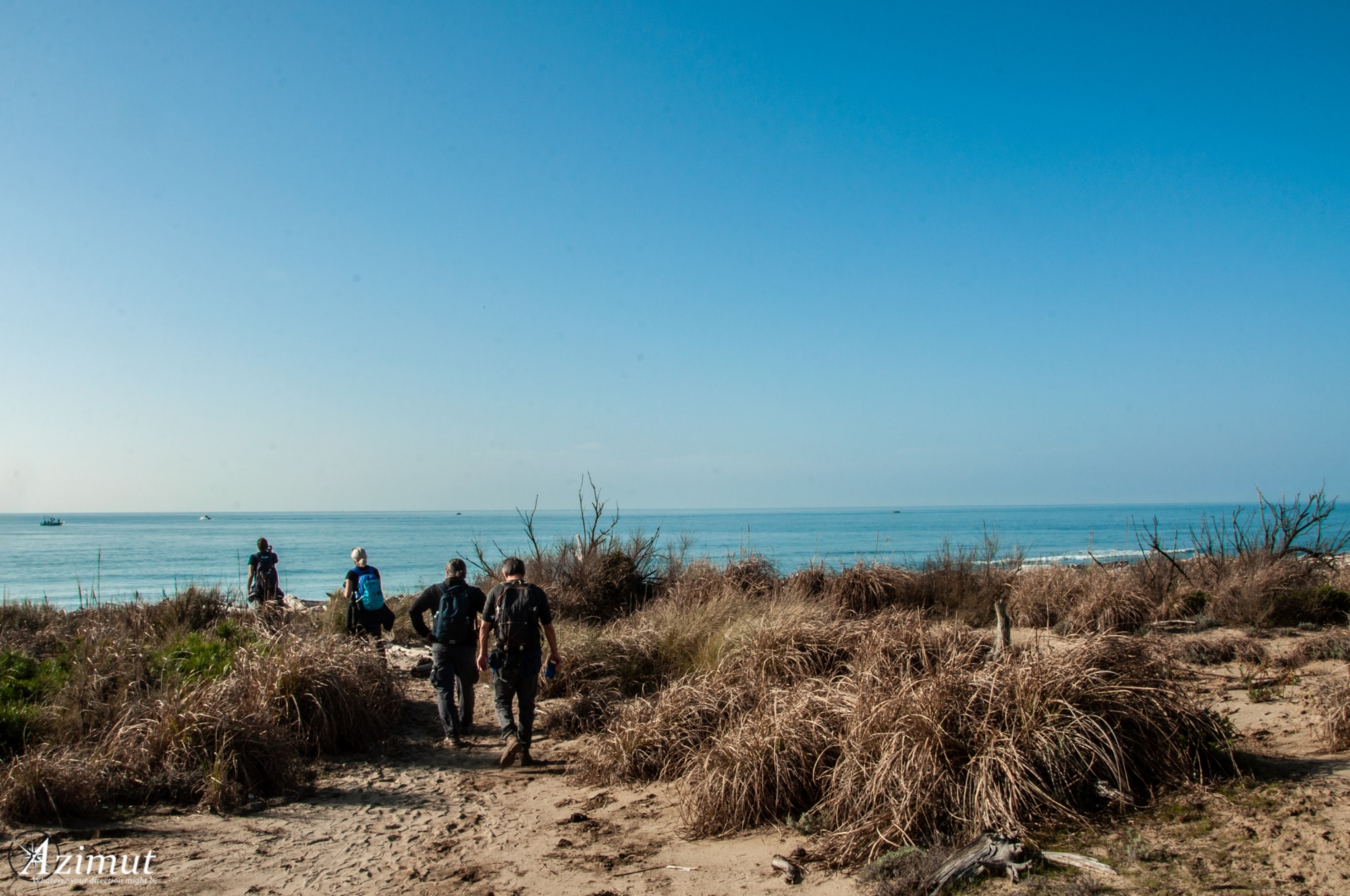 Trekking nella tenuta di San Rossore fino al mare