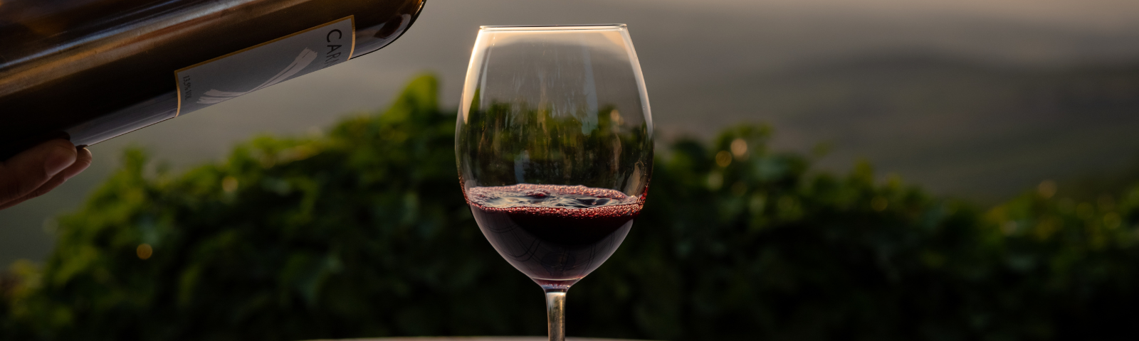 Immagine di un calice di Sangiovese