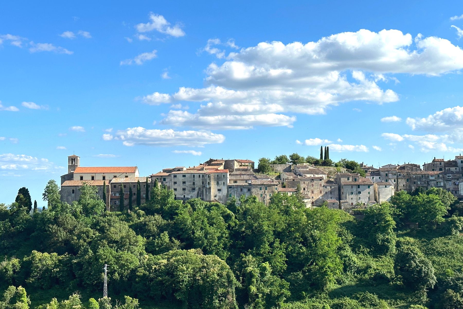 Scansano Scansano