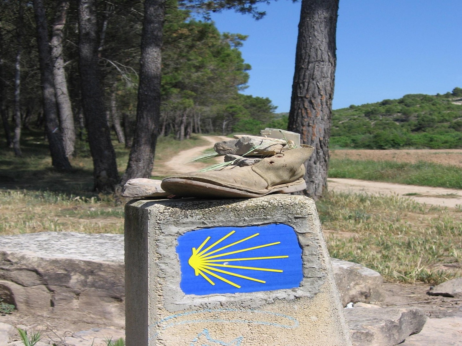 Scarpa da trekking su pietra con simbolo Francigena
