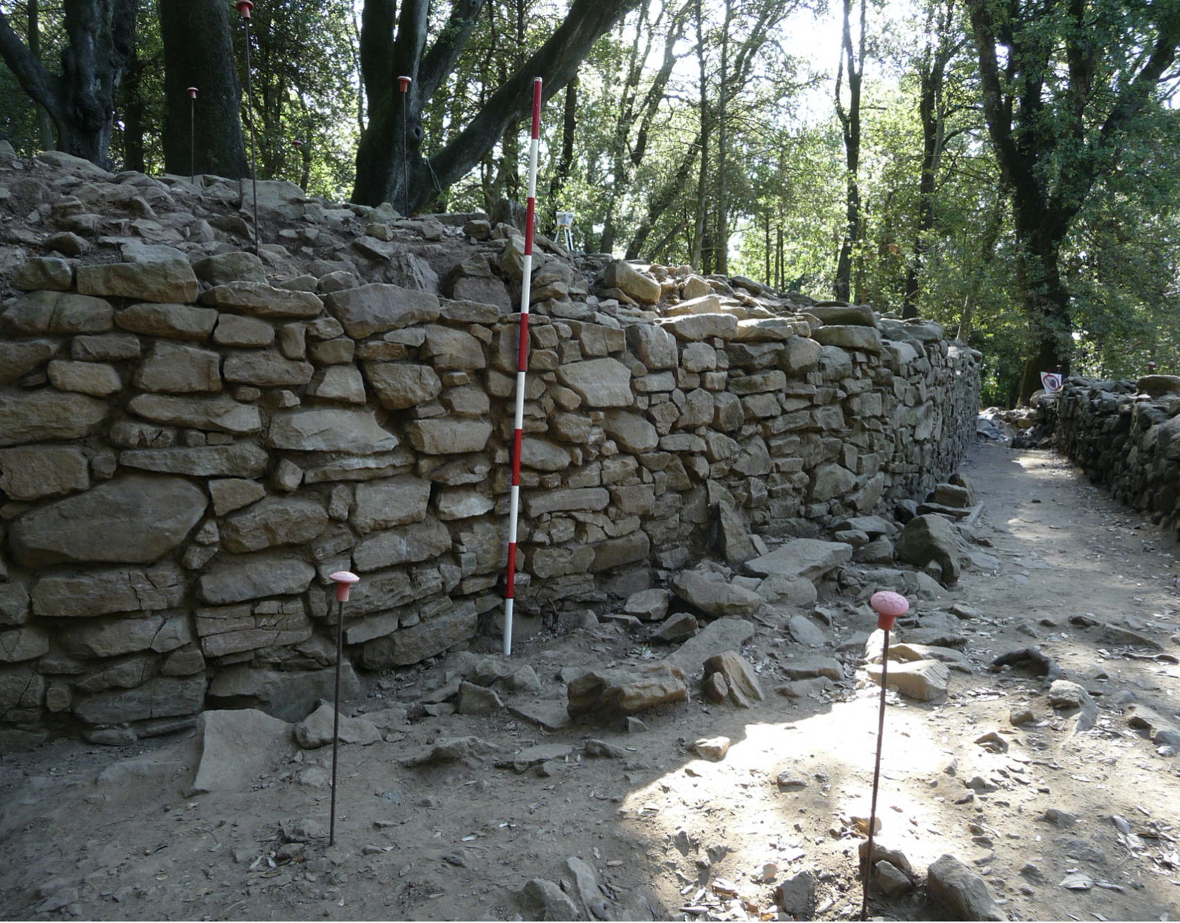 Immagine dello scavo archeologico di Pietramarina