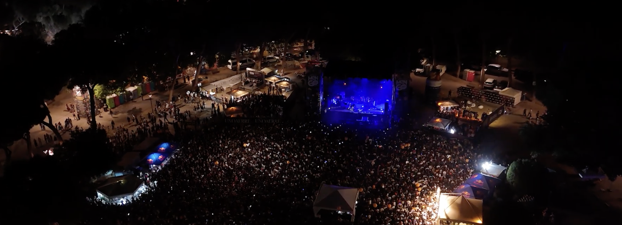 Immagine di una serata del festival nel parco con molte persone
