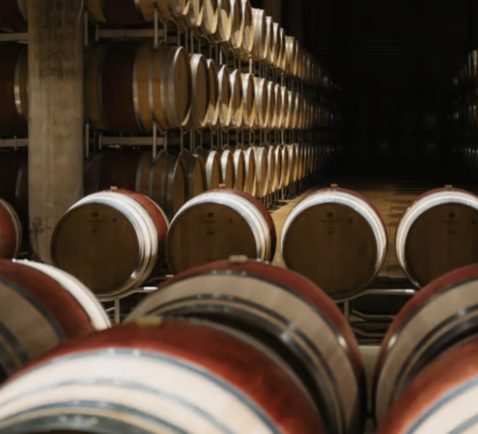 Degustazione di vino e visita al Castello di Brolio