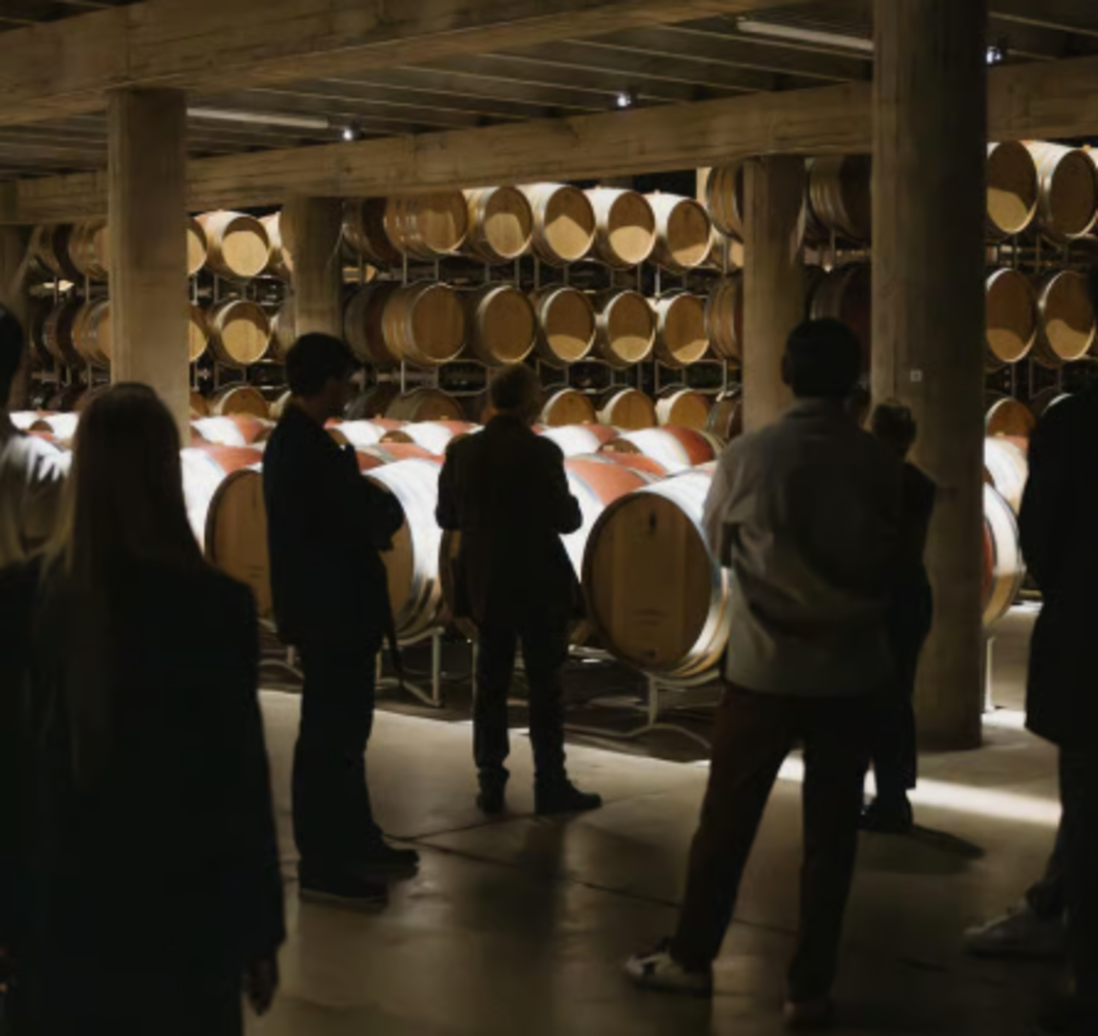 Persone in cantina durante visita guidata