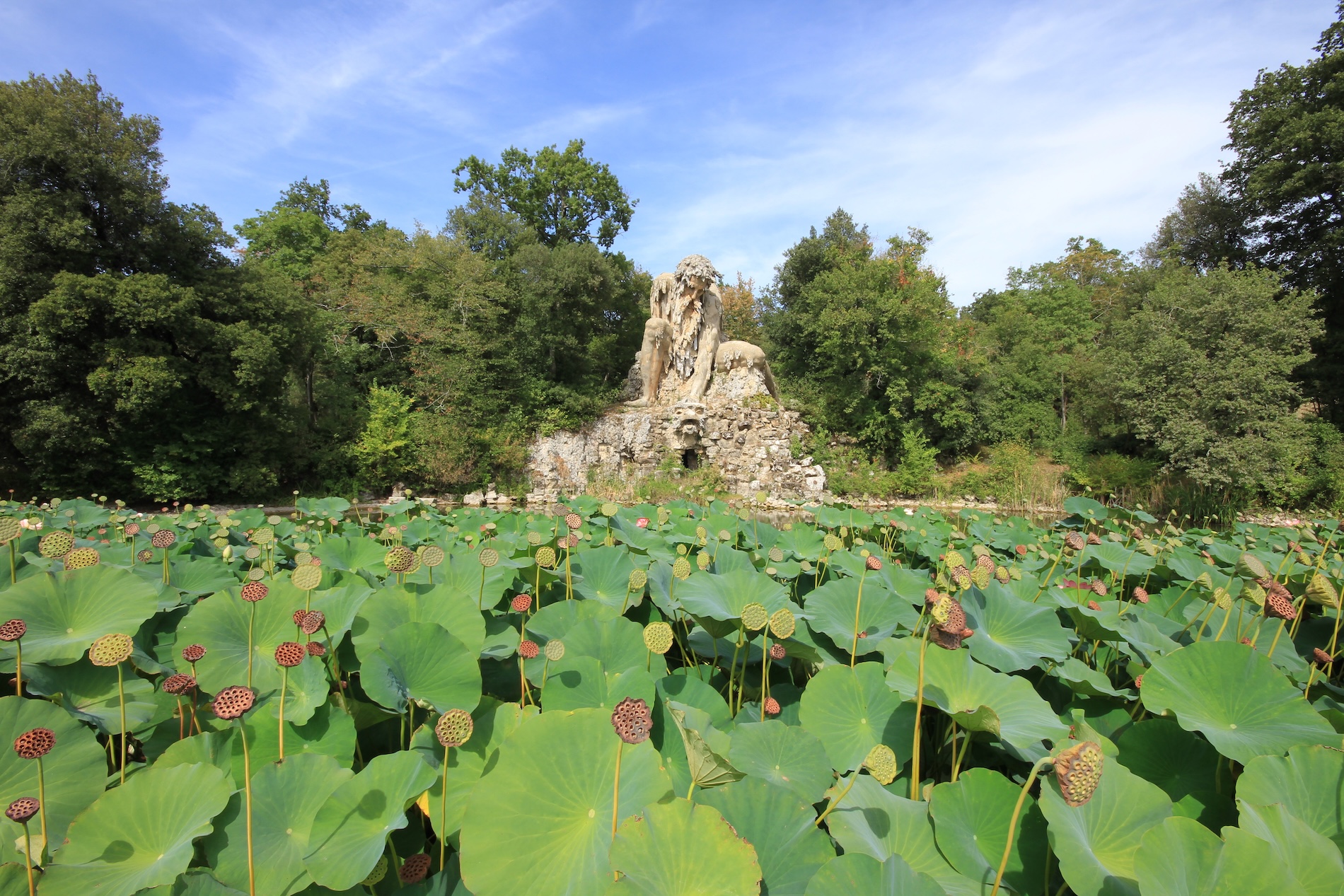 La maestosa statua in pietra del Colosso dell'Appennino a Villa Demidoff, vista attraverso un laghetto in primo piano ricoperto da foglie e baccelli di fior di loto.