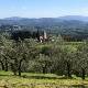 Excursion to the slopes of Monte Morello, to discover the history and the spectacular landscapes of Cercina