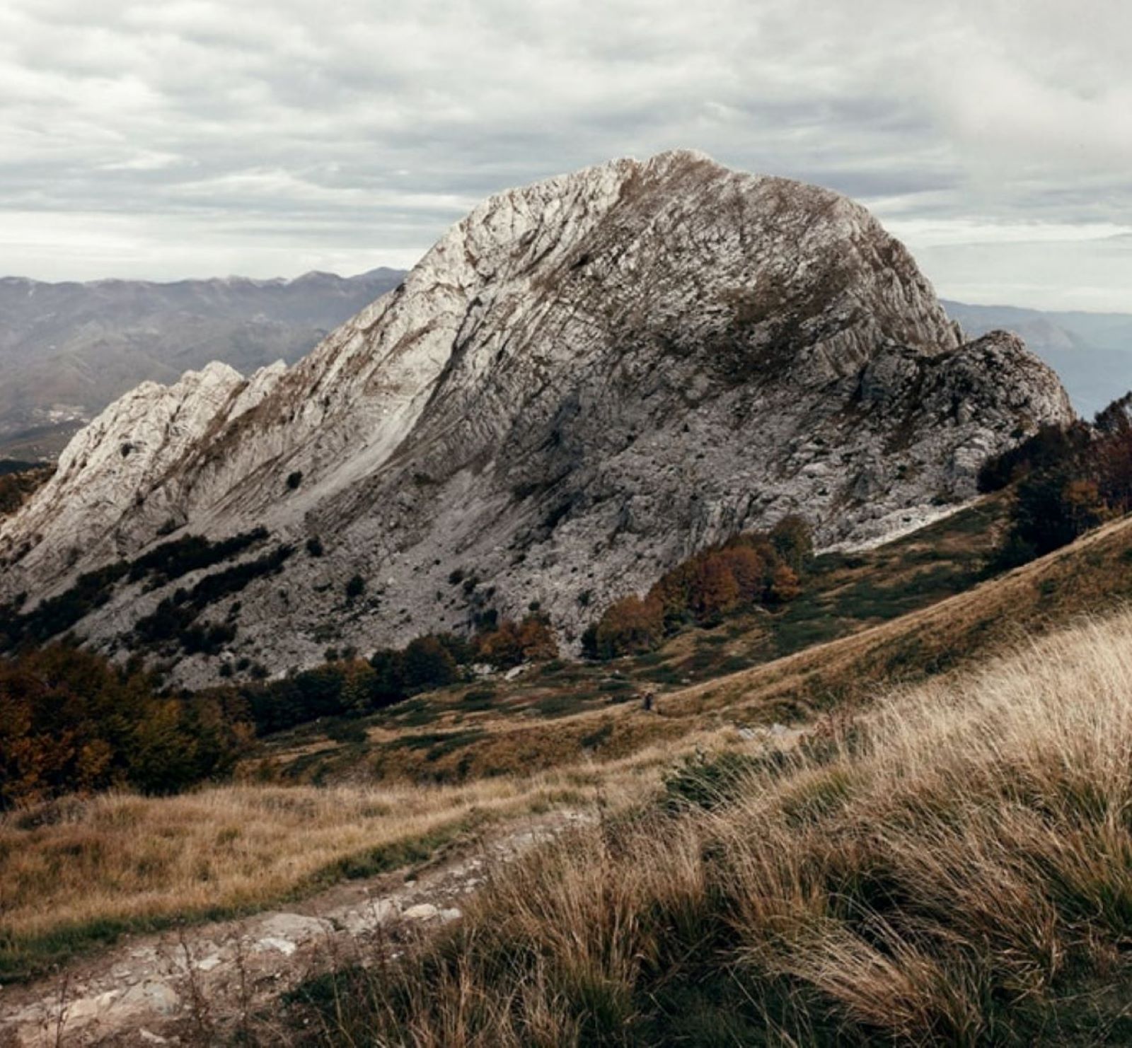 Parete rocciosa della Pania Secca nelle Alpi Apuane vista da un sentiero d’alta quota, con prati d’erba secca in primo piano, macchie di faggi dai colori autunnali alle pendici e cime montuose sullo sfondo sotto un cielo coperto di nuvole