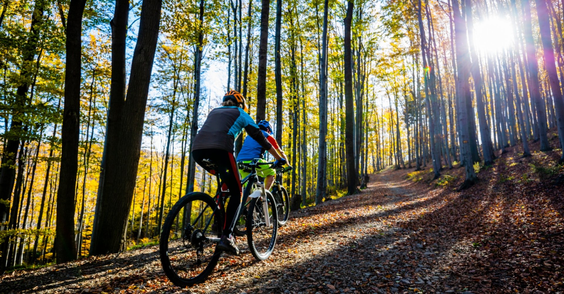 San Marcello Pistoiese and its enchanted forest