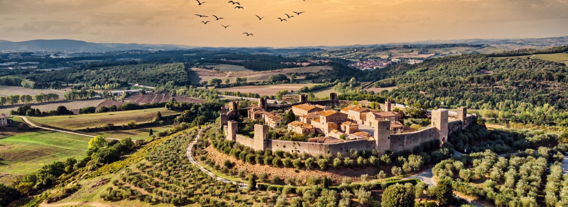 Monteriggioni vista dall'alto tour con degustazione